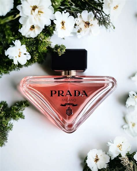 духи prada миндаль|Prada Paradoxe Prada аромат — новый аромат для женщин .